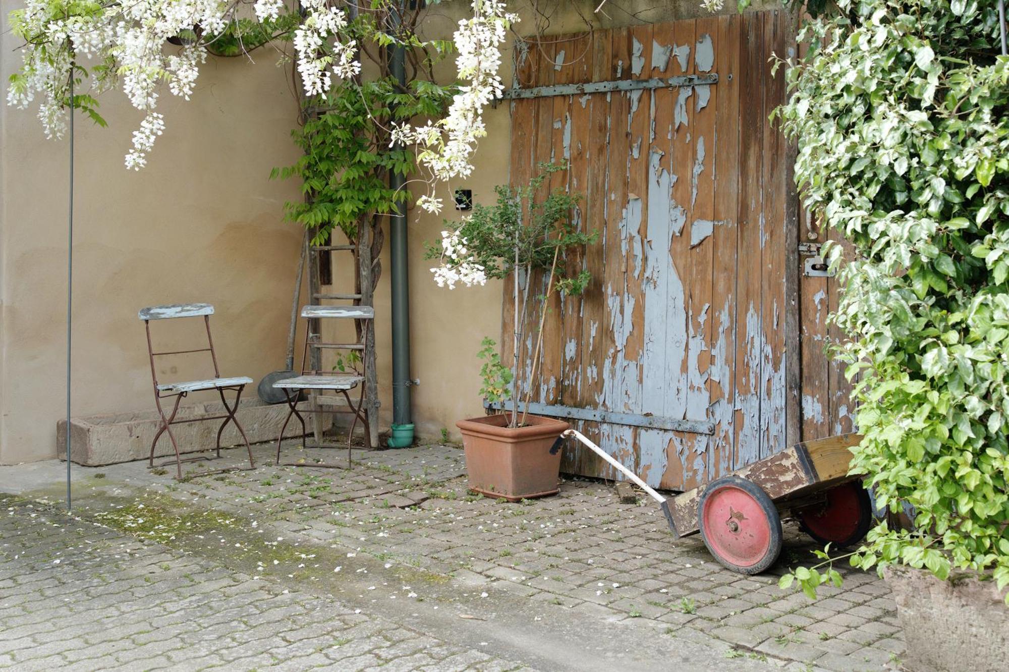 Appartement Loft Im Kuenstlerhaus à Riegel am Kaiserstuhl Extérieur photo